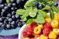 Photo of raspberries and blueberries illuminated by the sun. Delicious yellow and red raspberries on a small saucer. Ye Royalty Free Stock Photo