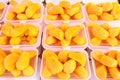 Photo of ready made of jack fruit