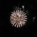 Photo of real fireworks in circle shape with smoke paths on black sky background for overlay blending mode Royalty Free Stock Photo