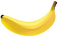 Photo Realistic Banana