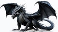 Photo realistic, beautiful majestic black dragon, opulent on white background