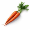 Photo-realistic Carrot Isolated On White Background Royalty Free Stock Photo
