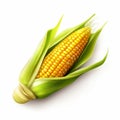 Photo Realistic Corn On The Cob Vector With Isolated White Background Royalty Free Stock Photo