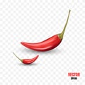 Photo Realistic 3d Vector Illustration of Hot Chili Peppers Isolated