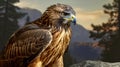 Photo Realistic Hawk Wallpaper With Soft Brushstroke Realism