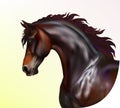 Photo realistic horse portrait