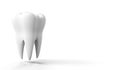 Photo-realistic illustration of a white tooth - isolated icon. Tooth isolated on white background. 3D render. Dental