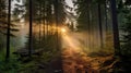 Photo-realistic Landscapes Capturing The Enchanting Sunrise In Sweden\'s Forest