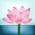 Photo-Realistic Lotus Flower In Water Royalty Free Stock Photo