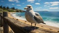 Photo Realistic Seagull: Unreal Engine 5 Rendering Of Australian Landscape