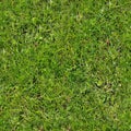 Photo realistic seamless grass texture in high resolution with more than 6 megapixel