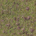 Photo realistic seamless grass texture in high resolution with more than 6 megapixel