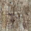 Photo realistic seamless texture pattern of tree bark in high resolution