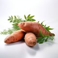 Photo-realistic Sweet Potatoes With Dill On White Surface