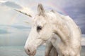 Photo Realistic Unicorn Royalty Free Stock Photo