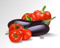 Photo-realistic vector. Colorful fresh group of vegetables. Eggplants and tomatoes. 3d illustration