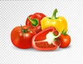 Photo-realistic vector. Red tomato and paprika vegetables. A set of products for a vegetable dish is lecho letscho lecso Royalty Free Stock Photo