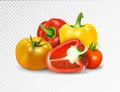 Photo-realistic vector. Red tomato and paprika vegetables. A set of products for a vegetable dish is lecho letscho lecso