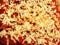 Cheesy Chicken Enchiladas Royalty Free Stock Photo