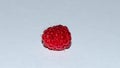 Photo of raspberries on a white background Royalty Free Stock Photo