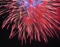 Patriotic Red, White and Blue July 4th Fireworks Royalty Free Stock Photo