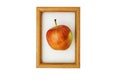 Photo of red - yellow apple in a wooden frame Royalty Free Stock Photo