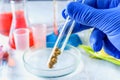 Researcher hand holds a test tube with soy on the background of a table with test tubes Royalty Free Stock Photo