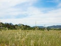 Revitalising landscape with a magnificent meadow in the idyllic setting of provencal nature with the Alpilles mountains Royalty Free Stock Photo