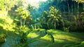 Photo of a rice field in Asia with the sun