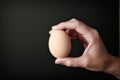 Right Hand Holding a Brown Egg Royalty Free Stock Photo