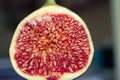 Photo of ripe figs in a cut close-up Royalty Free Stock Photo