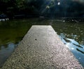 Photo of a river flowing through a beautiful park. Spring, Summer. Royalty Free Stock Photo