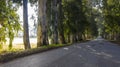 A photo of the road in the forest that reflects the nature of Mugla, Akyaka.