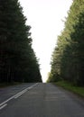 The road stretching away in the summer in the Siberian hinterland
