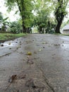 road in a housing complex, with trees on the side Royalty Free Stock Photo