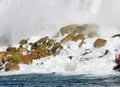 Rocks in Niagara Falls, New York, USA