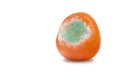 A photo of rotten moldy orange, tangerine isolated on white background. A photo of the growing mold. Food contamination, bad spoil Royalty Free Stock Photo