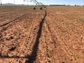 Soybeans rows under an irrigation system