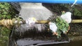 Photo of rubbish in water pipes. Don& x27;t throw rubbish carelessly