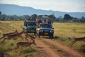 Photo safari. Mikumi National Park, Tanzania