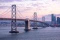 Landscape View of San Francisco Bridge