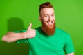 Photo of satisfied positive man with ginger long beard dressed stylish t-shirt showing thumb up isolated on green color Royalty Free Stock Photo