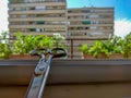 Scissors with plants in the background