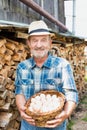 Senior farmer wearing hat while carrying fresh eggs in basket in barn Royalty Free Stock Photo