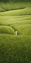 Endless Lawn: A Repetitive And Detailed Landscape Painting In The Style Of Mike Worrall Royalty Free Stock Photo