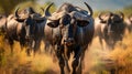 A photo of the Serengeti Migration, with a sea of wildebeest as the background, during the annual migration