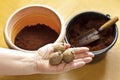 photo series growing potatoes in containers 1