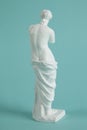 a photo series of the Venus de Milo from every angle