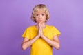 Photo of serious blond kid palms together plead request wear yellow t-shirt  violet color background Royalty Free Stock Photo