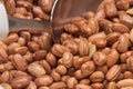Food - red bean grains. Royalty Free Stock Photo